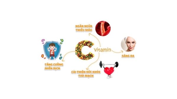 Vitamin C - 1 trong 13 loại vitamin thiết yếu đối với cơ thể